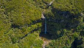 Le foreste più belle d’Europa, dove perdersi nella natura