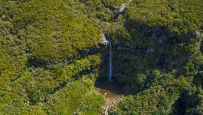 Foresta Laurisilva, patrimonio mondiale dell'UNESCO