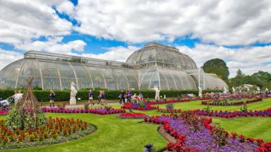 Kew Gardens a Londra: perché visitare questi giardini