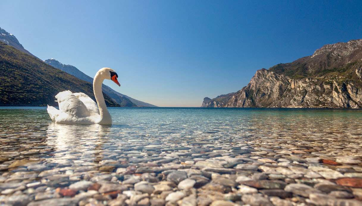 I laghi più belli del Trentino da visitare in primavera