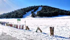 Ifrane, il Marocco che non ti aspetti: qui puoi sciare