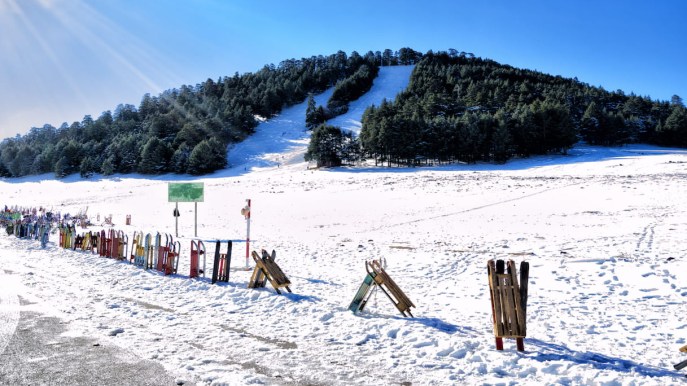 Ifrane, il Marocco che non ti aspetti: qui puoi sciare