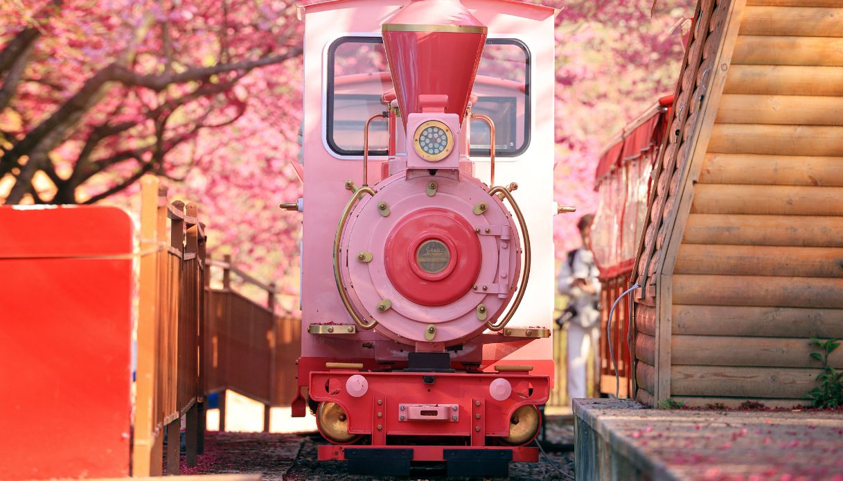 Il treno rosa che attraversa i ciliegi in fiore a Longyan, Fujian