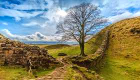 L’incredibile scoperta riemersa dal sottosuolo al Vallo di Adriano