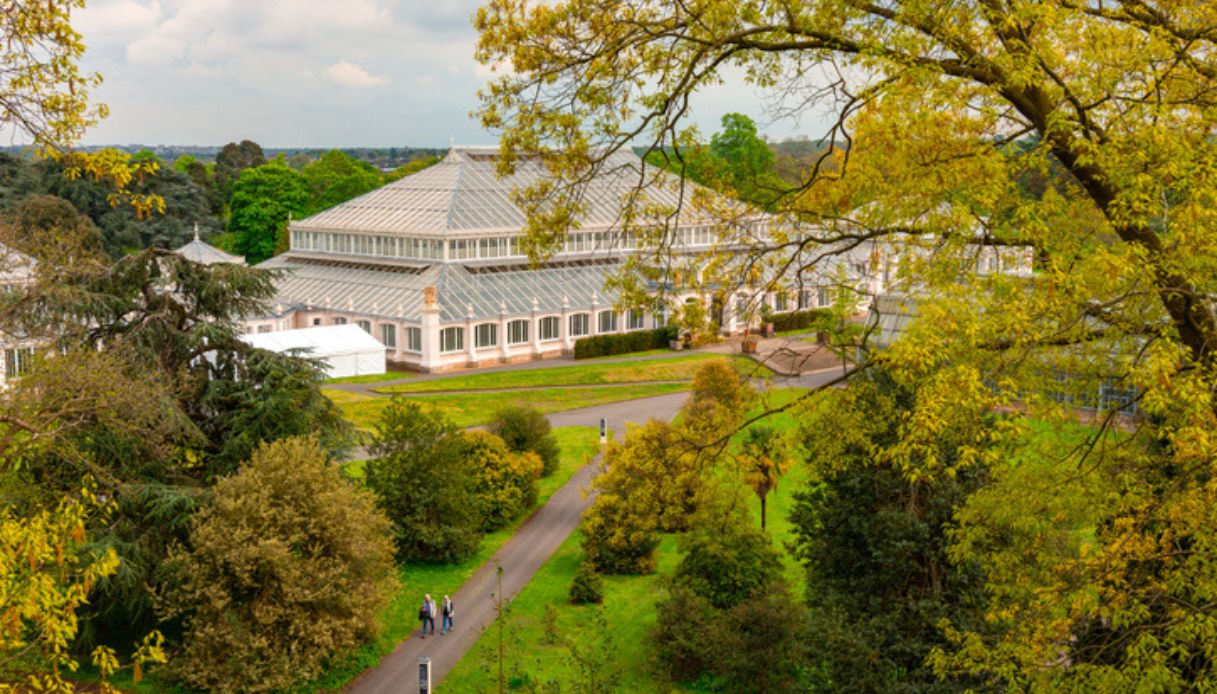 Vista aerea dei Kew Gardens e delle sue strutture: giardini a pochi chilometri da Londra