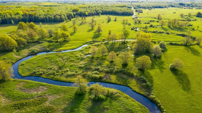 L’Estonia è la migliore meta green dell’anno