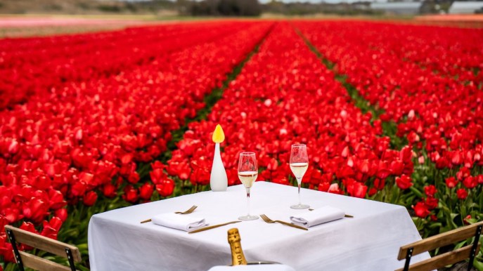 Pranzare tra migliaia di tulipani: l’esperienza più romantica di questa primavera