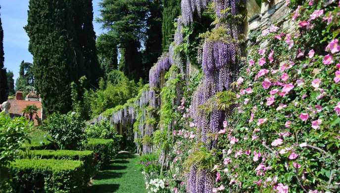 Giardini-di-Villa-della-Pergola