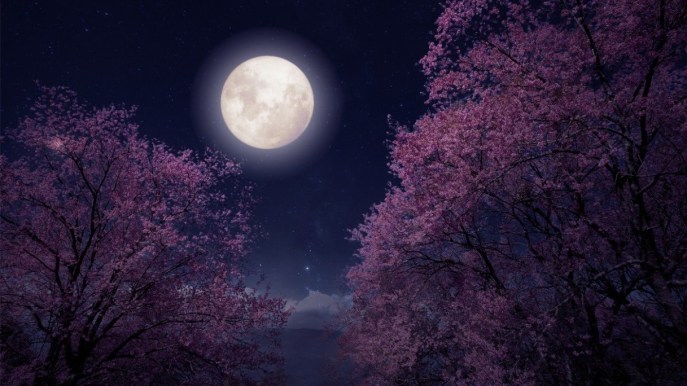 Eclissi solare e Luna Rosa: il cielo di aprile è sorprendente