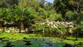 Giardino La Mortella, capolavoro del Sud Italia