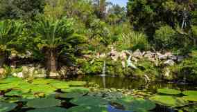 giardino la mortella