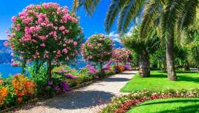 isola-madre-camelie-lago-maggiore