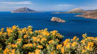 Isole dove è sempre primavera