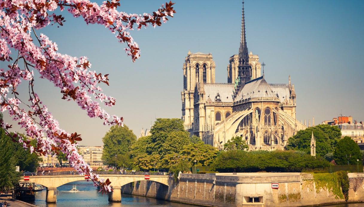 Ciliegi in fiore nella città di Parigi