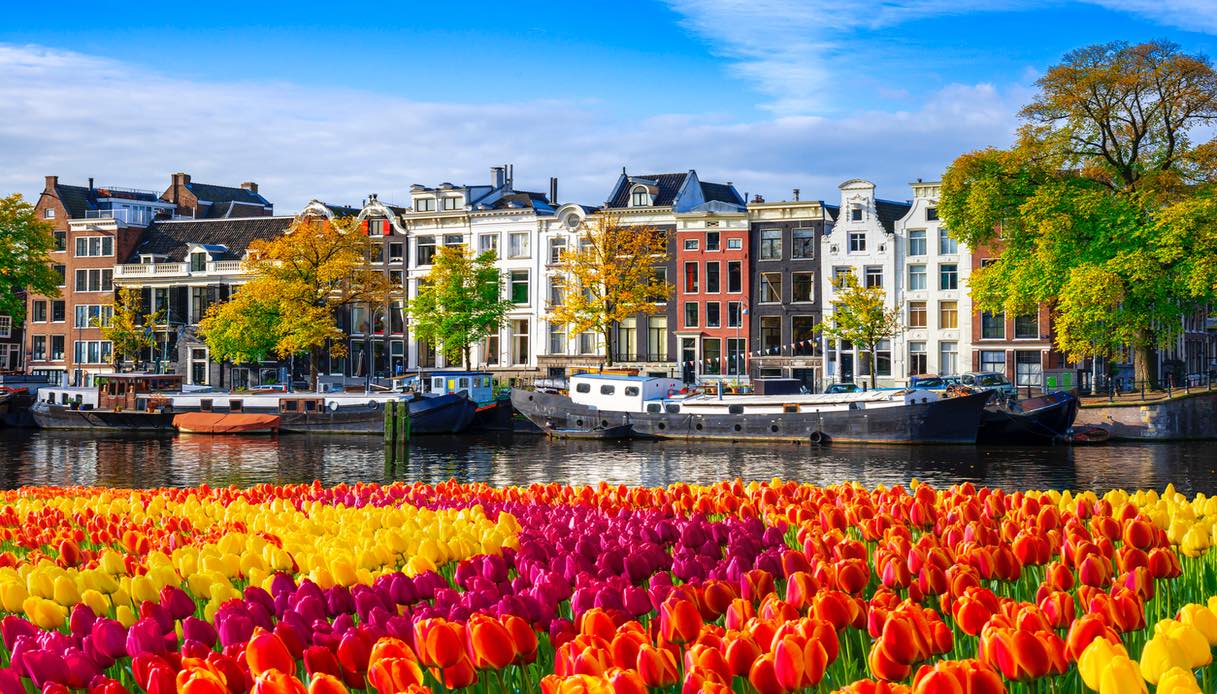 La fioritura dei tulipani ad Amsterdam
