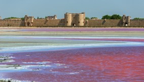 Lo spettacolo delle saline di Aigues-Mortes