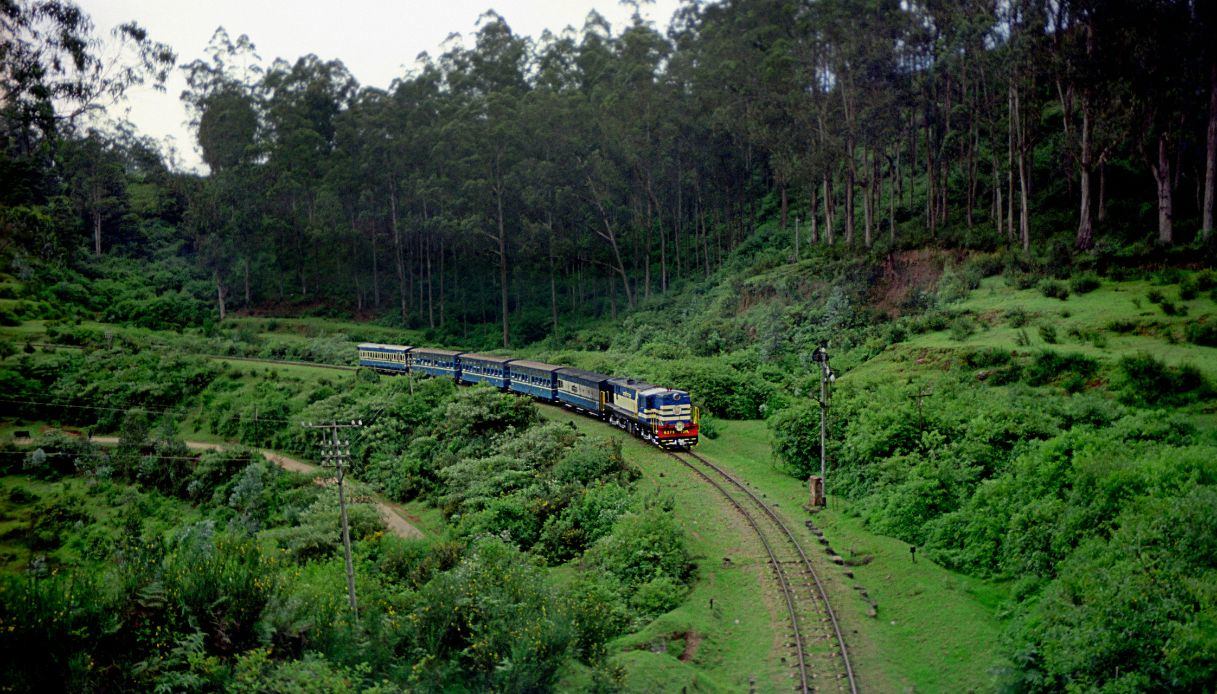 La Nilgiri Mountain Railway immersa nella natura