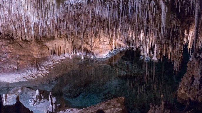 Le Grotte di Postumia: un tesoro sotto la terra della Slovenia