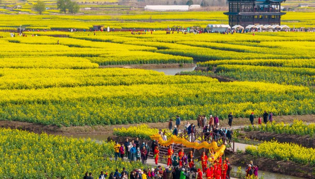 I fiori di colza danno spettacolo in Cina