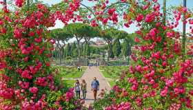 Sbocciano le rose nel giardino più romantico e antico d’Italia