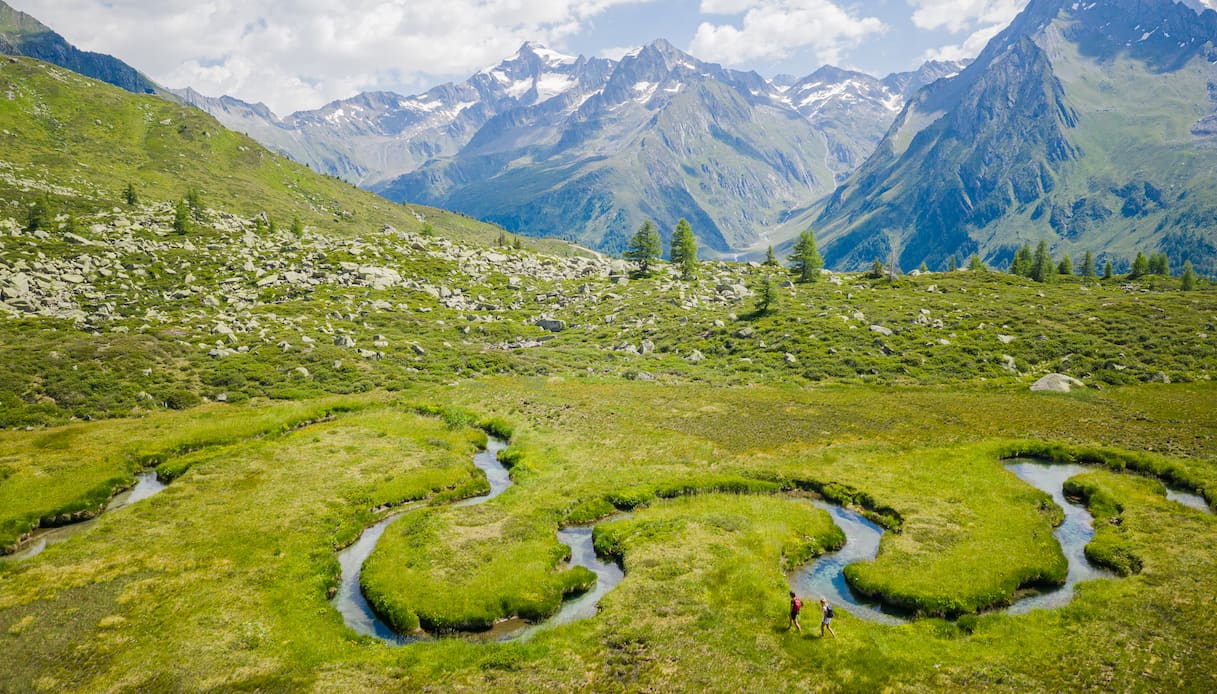 Alla scoperta del biotopo Wieser Werfer, da percorrere a piedi nudi