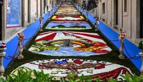 Un tripudio di fiori sta per invadere questa città italiana: lo show è imperdibile