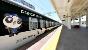 Panda Train: tutti a bordo del treno più dolce del mondo