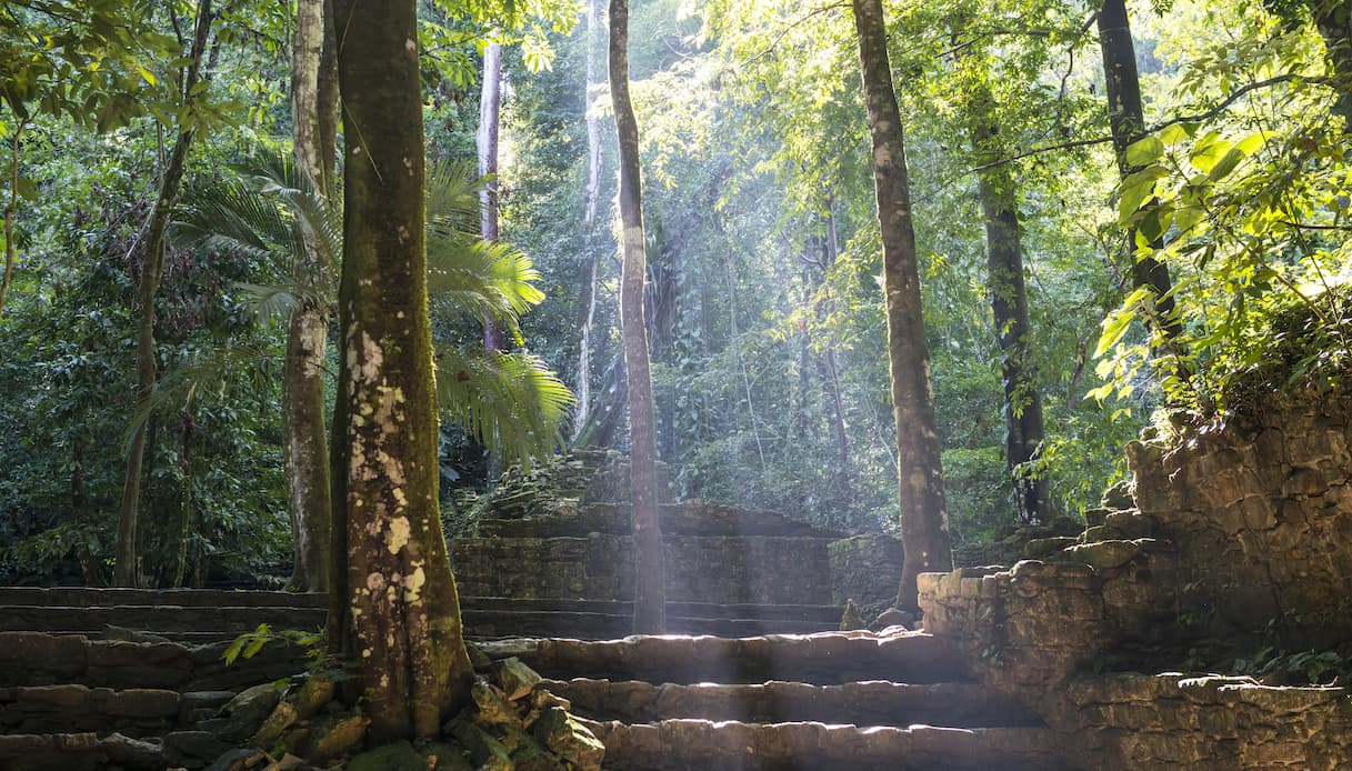 È stata scoperta la prima autostrada del mondo