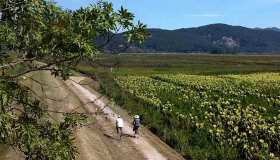 Sulla Ciclovia Puccini, la più bella d’Italia