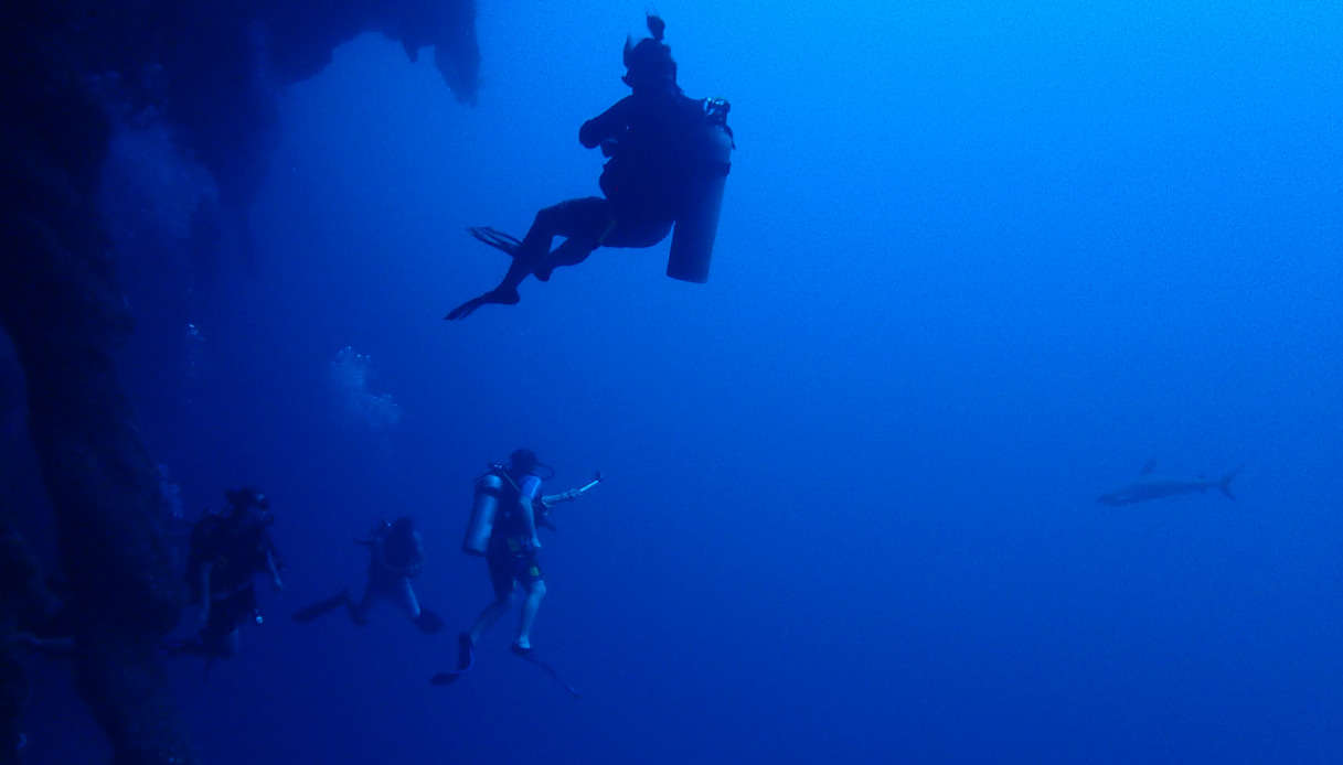 Immersione nella Great Blue Hole in Belize