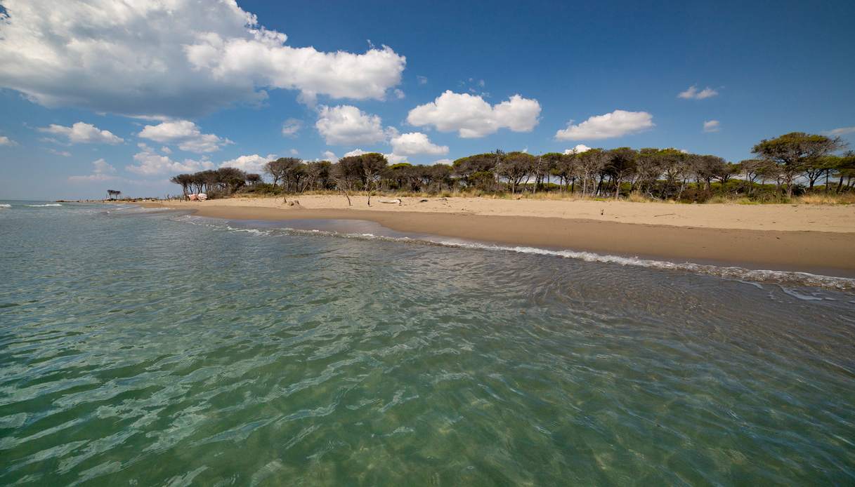 Marina di Alberese a cavallo