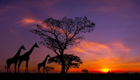 La cartolina di viaggio più bella si scatta qui al tramonto