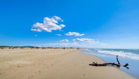 Spiaggia della Lecciona, che preserva ancora il suo stato naturale