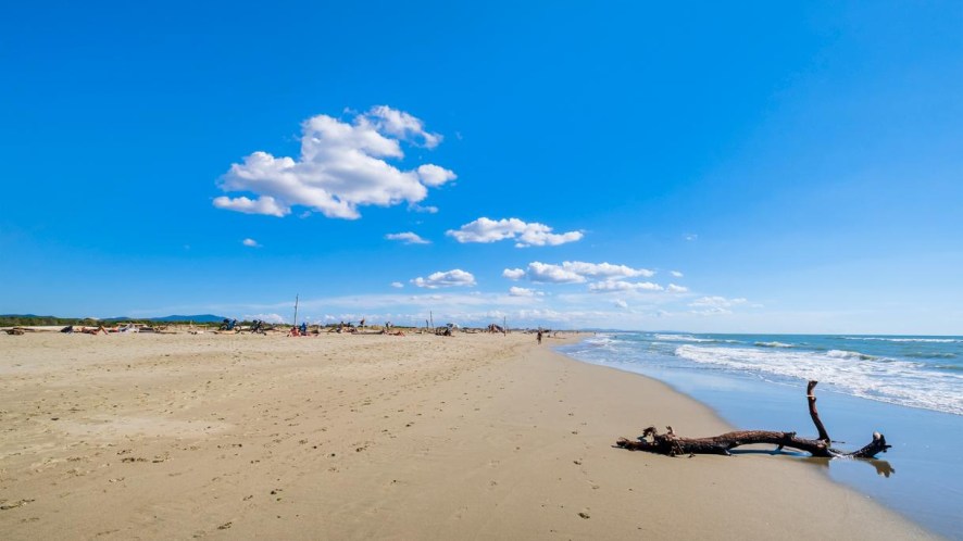 Spiaggia della Lecciona, che preserva ancora il suo stato naturale