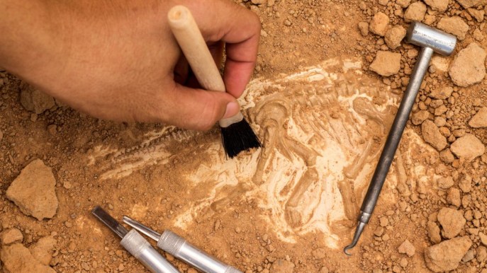 Francia: rinvenute le più antiche tracce dei Neanderthal