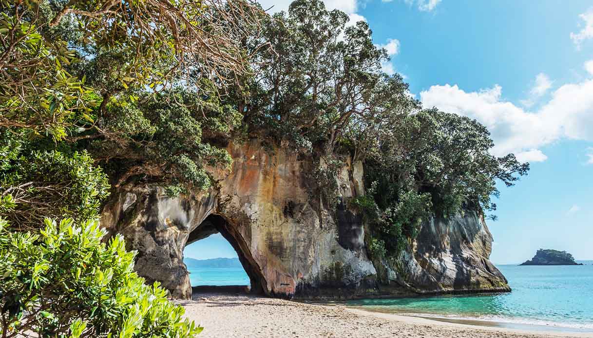 Cathedral Cove, la cattedrale di roccia in spiaggia in Nuova Zelanda