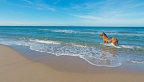 Sardegna: a cavallo alla scoperta delle meraviglie dell’isola