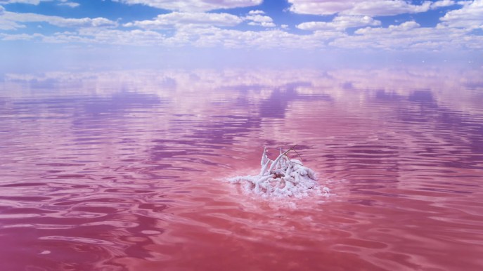 Sembra dipinto da un pittore, invece questo lago rosa è reale