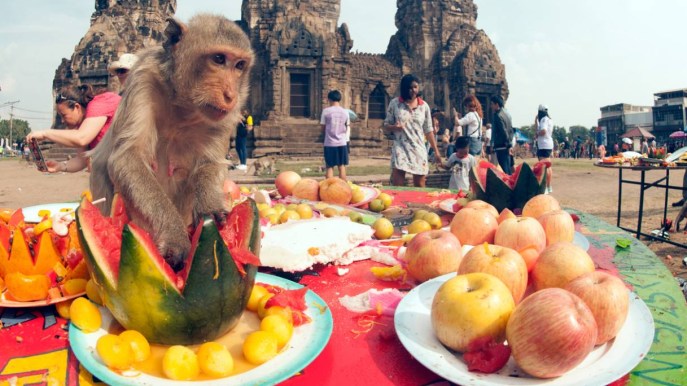 Tavole imbandite e danze dedicate alle scimmie: è questa la festa più strana del mondo