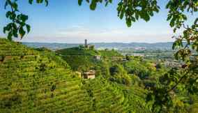 colline del prosecco