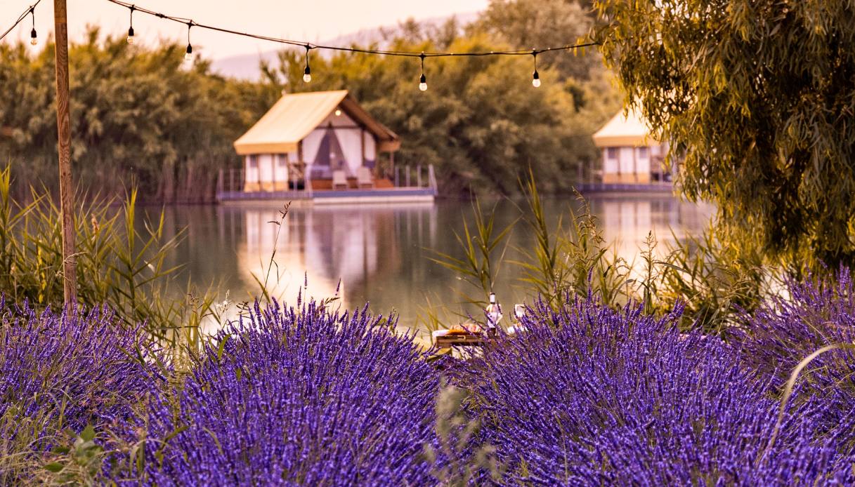 Lavanda in Italia: i migliori luoghi in cui ammirare questo spettacolo