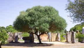 San Sperate, il borgo delle pietre sonore
