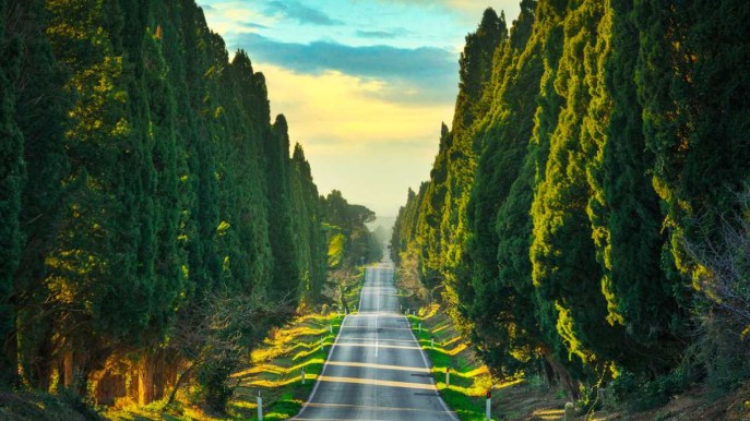 Viale dei Cipressi: una delle strade più poetiche d’Italia