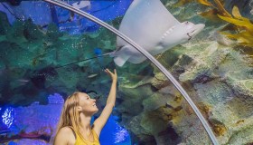 10 cose da fare a Dubai con i bambini