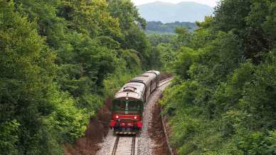 Torna il Treno delle Orchidee per un viaggio storico nella natura più autentica del Friuli