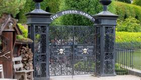 Non lasciatevi ingannare dalla sua bellezza: questo giardino è letale