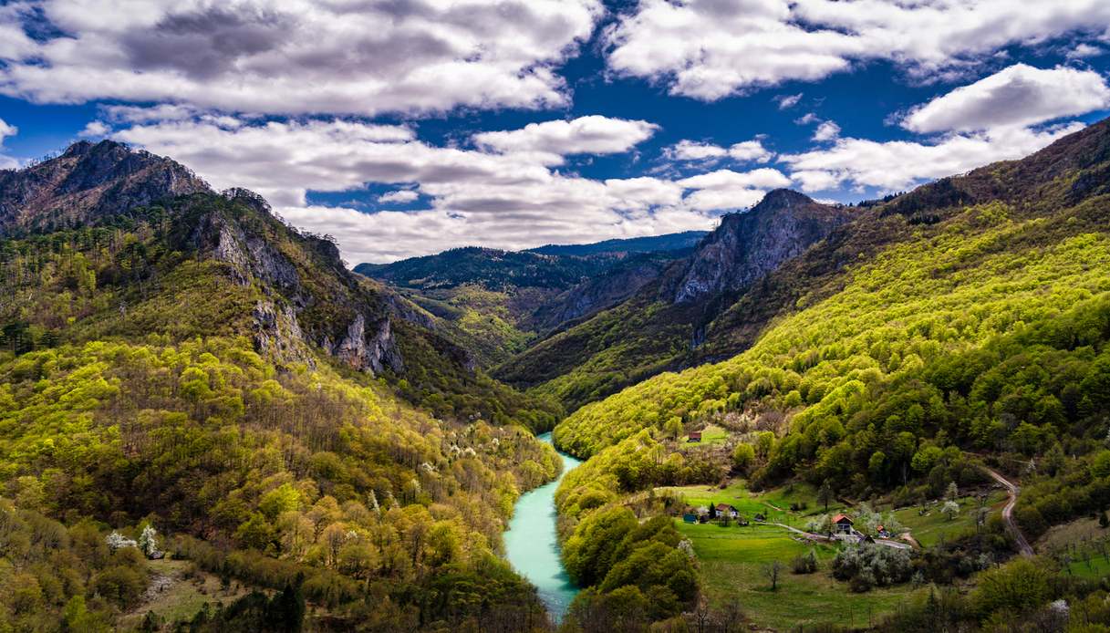 Canyon di Tara, Montenegro