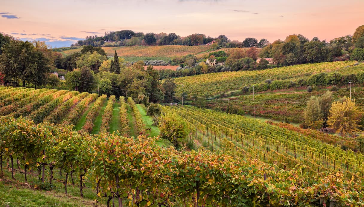 L’elogio del New York Times alla Food Valley italiana