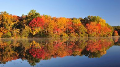 Foliage all’estero: 10 destinazioni top negli Stati Uniti