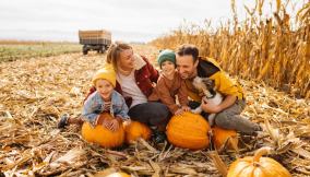 Pumpkin patch, la mappa dei campi di zucca in Italia